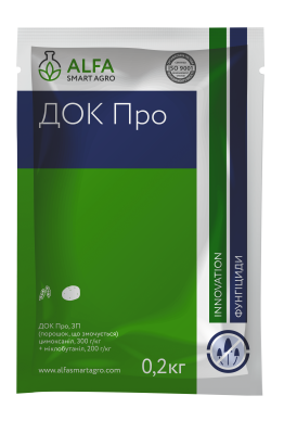 Док Про