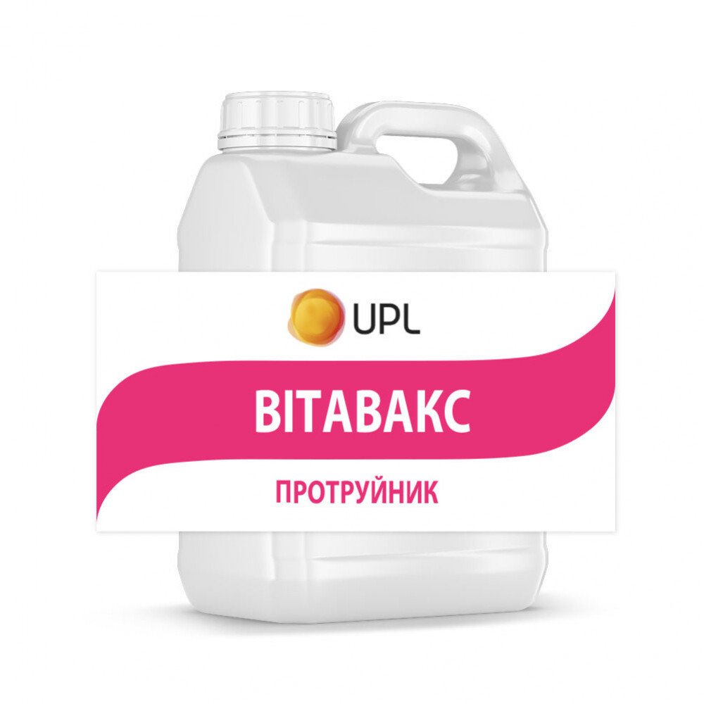 Вітавакс Аріста