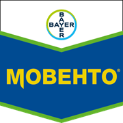 Мовенто