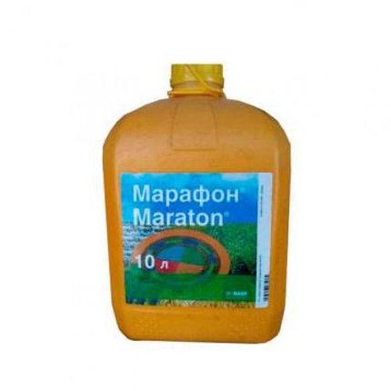 Марафон