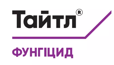 Тайтл
