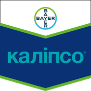 Каліпсо
