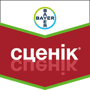 Сценік