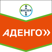 Аденго