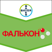 Фалькон