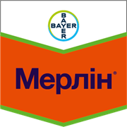 Мерлін