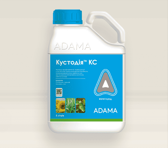 КУСТОДІЯ