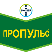 Пропульс