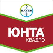 Юнта Квадро