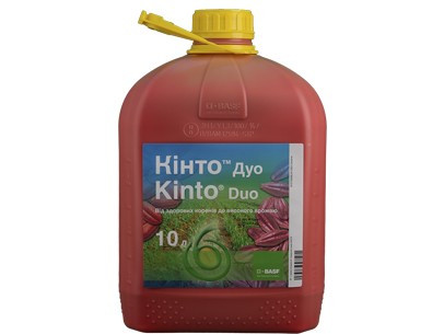 Кінто® Дуо