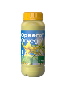 Орвего