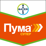 Пума Супер