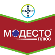 Модесто Плюс