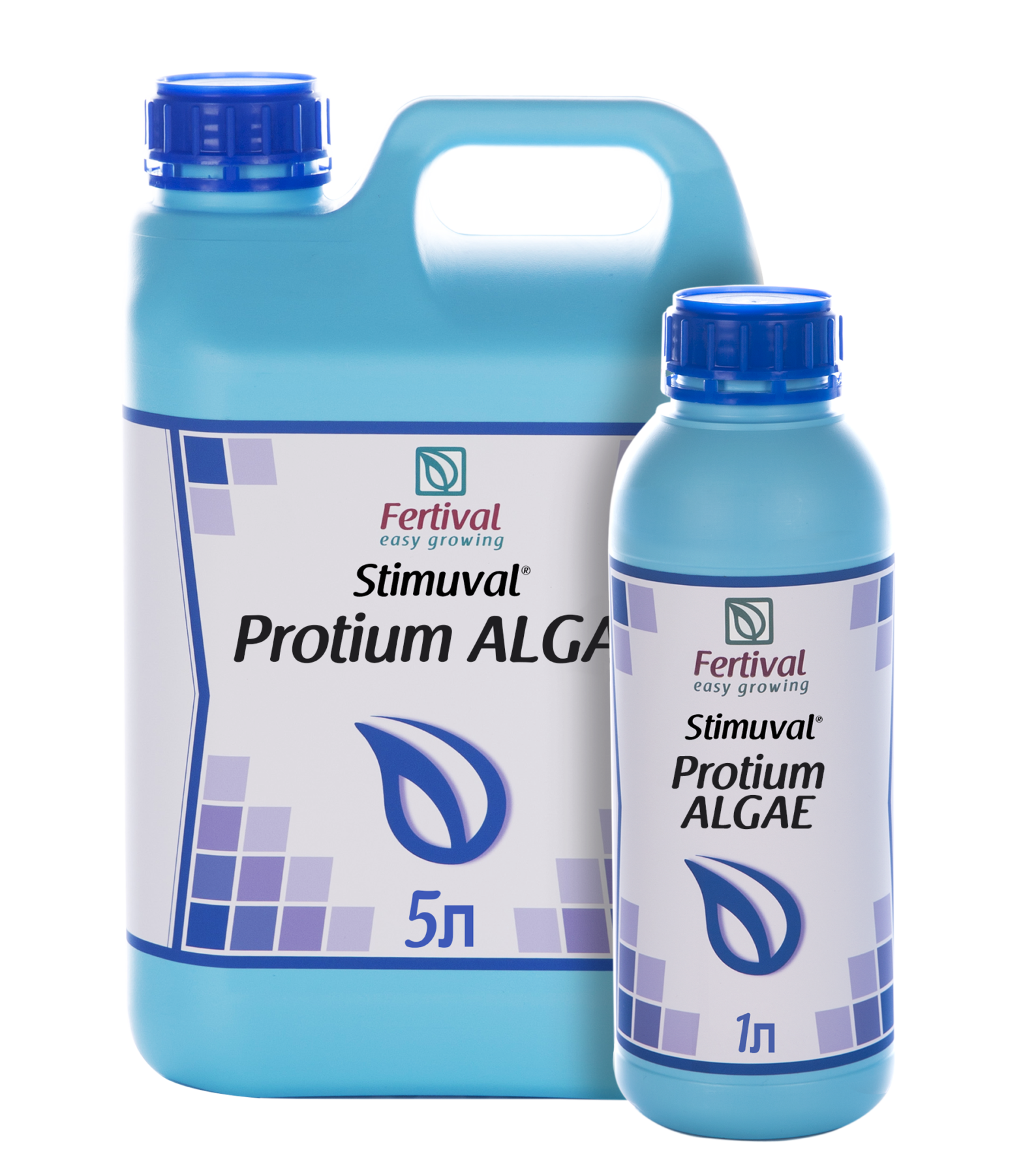 Protium Algae