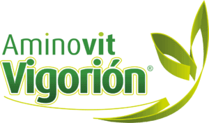 АМІНОВІТ ВІГОРІОН