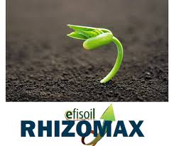 Стимулятор росту РізоМАКС / RHIZOMAX