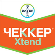 Чеккер Xtend