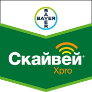 Скайвей Xpro
