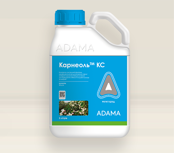 КАРНЕОЛЬ