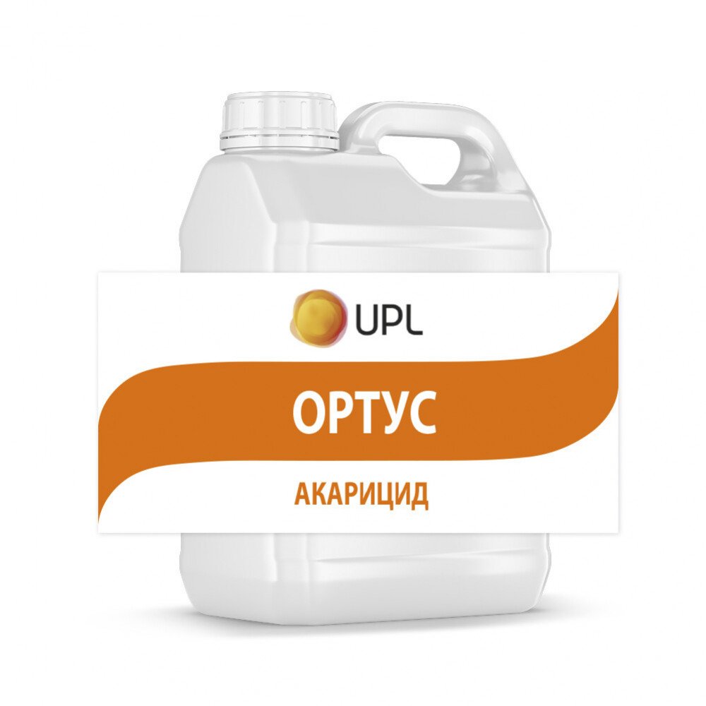 Ортус Аріста