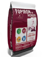 Коректор Мікроквель Топірон / TOPIRON MicroQuel