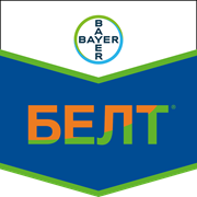 Белт
