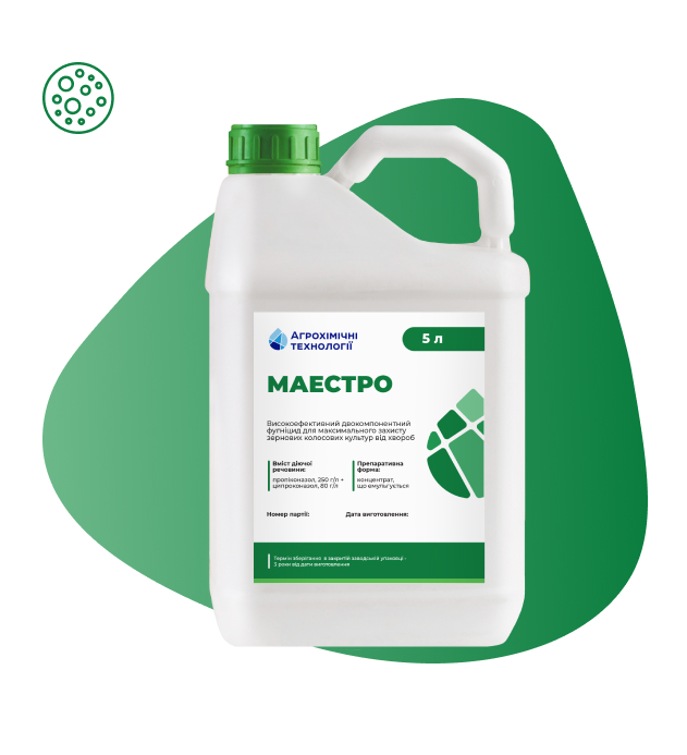 Маестро