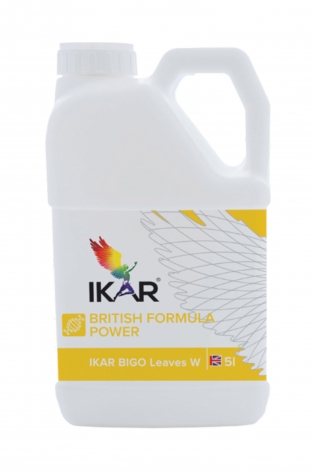 IKAR БІГО ЛИВЗ ЗИМОВИЙ