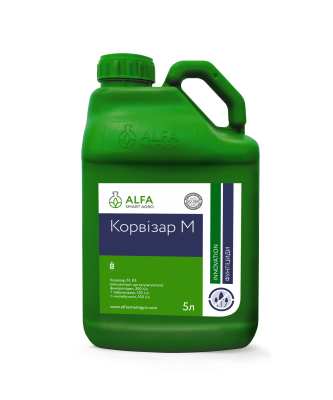 Корвізар М