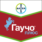 Гаучо Плюс