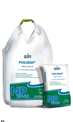 POLIDAP®