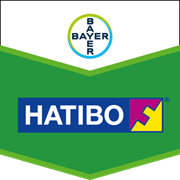 Натіво
