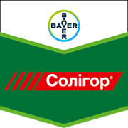 Солігор