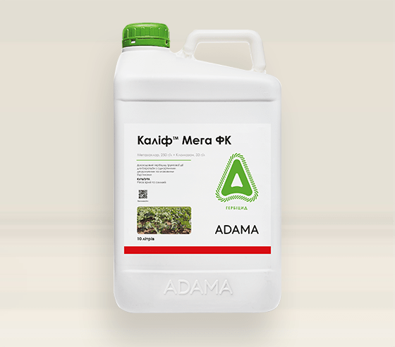КАЛІФ МЕГА
