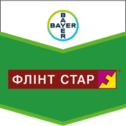 Флінт Стар