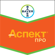 Аспект Про