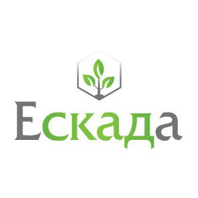 Ескада 488 КС