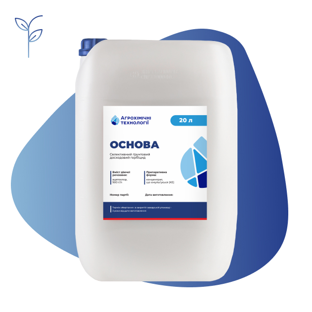 Основа