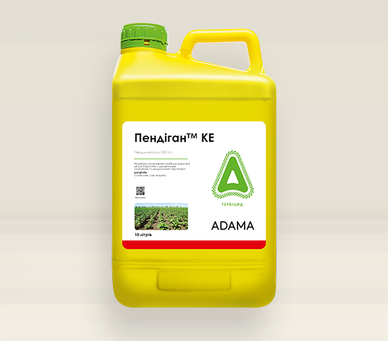 ПЕНДІГАН