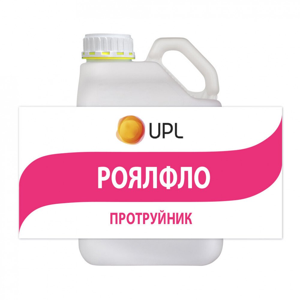 Роялфло Аріста