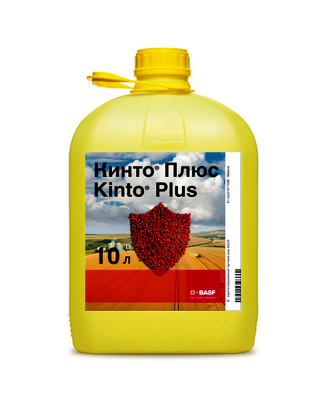 Кінто® Плюс