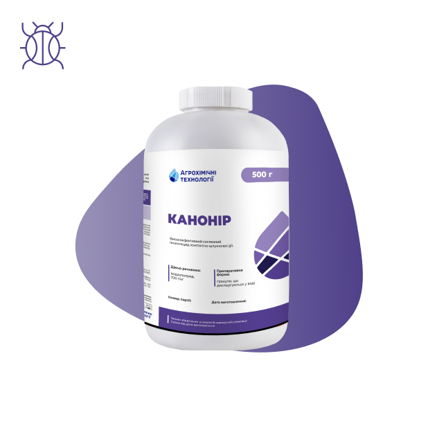 Каніор