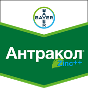 Антракол