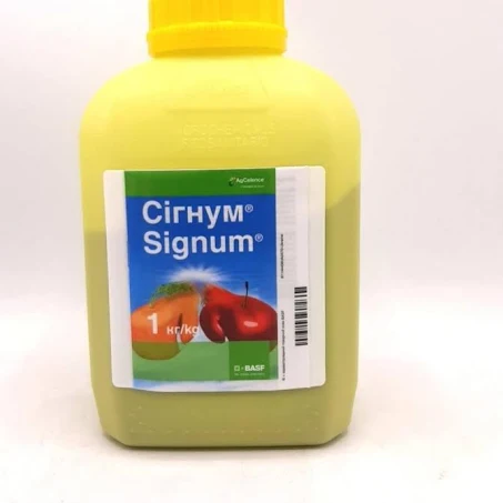 Сігнум