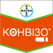 Конвізо 1