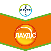 Лаудіс