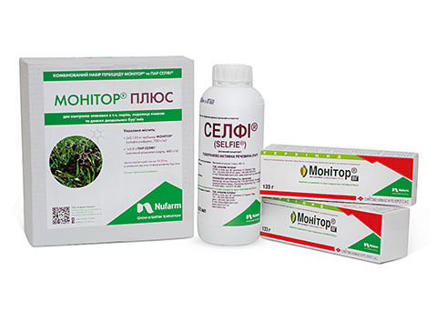 МОНІТОР® ПЛЮС