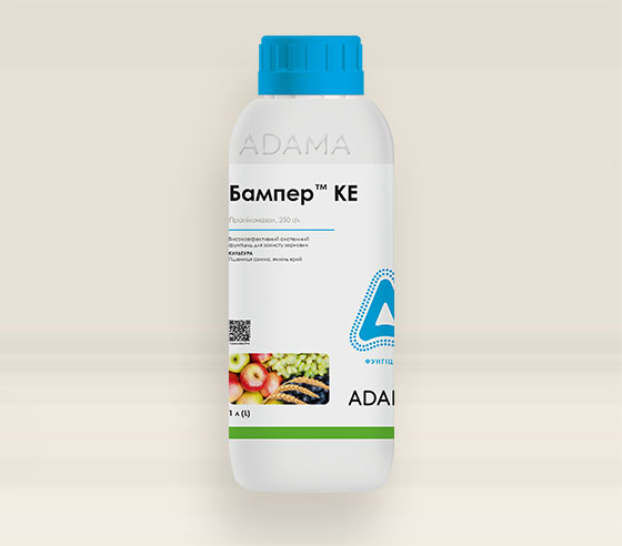 БАМПЕР