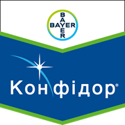 Конфідор