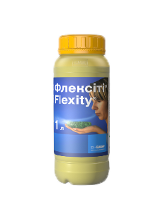 Флексіті